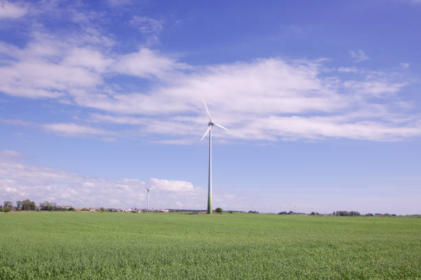 istock Wind turbine surrounded by nature 957912642