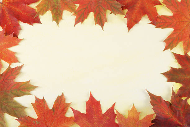 istock leaves border on textured paper 95791409