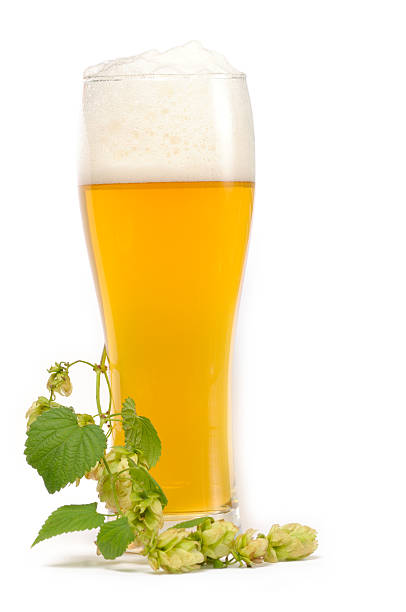 istock Hop twig on the glass with beer 95791519