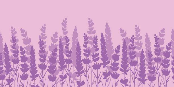 Fiori di lavanda bordo viola motivo senza cuciture. - illustrazione arte vettoriale