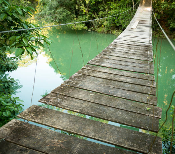 istock Bridge In Rio Blanco National Park Belize 957923076