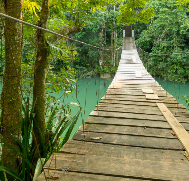 istock Bridge In Rio Blanco National Park Belize 957923376