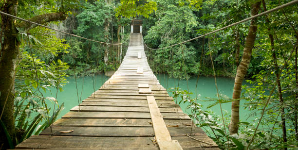 istock Bridge In Rio Blanco National Park Belize 957923606