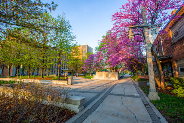 istock Windsor, Ontario - City Hall 957926754