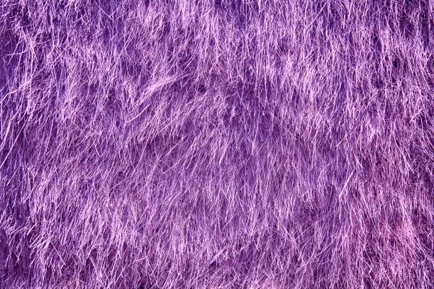 istock Ultra purple Dry straw grass background, hay texture after havest 957945880