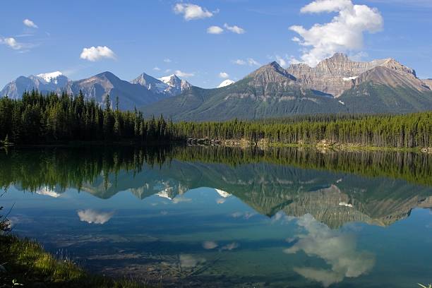 istock Herbert Lake, Banff National Park 95795391