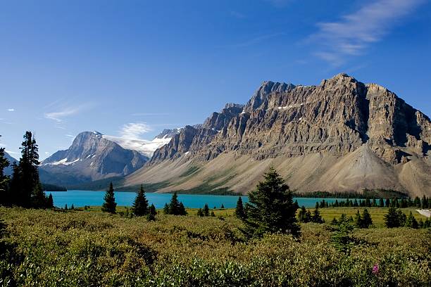 istock Bow Lake, Banff National Park 95795394