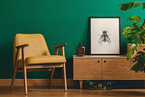 Insect poster and yellow armchair