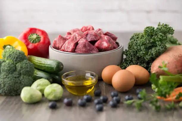 Healthy raw dog food ingredients