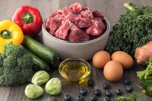 Raw dog food ingredients Healthy raw dog food ingredients kale photos stock pictures, royalty-free photos & images