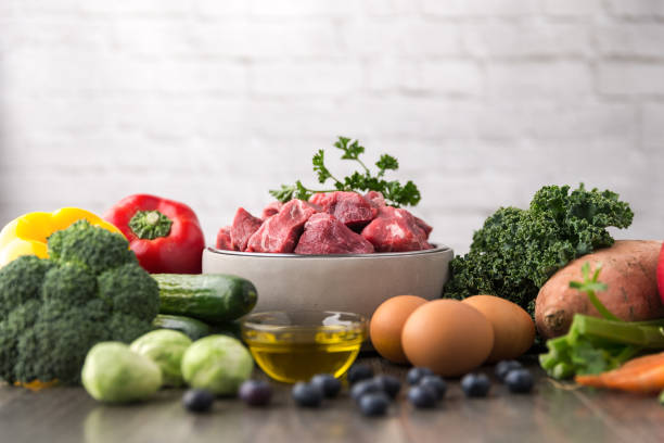 istock Raw dog food ingredients 957956764