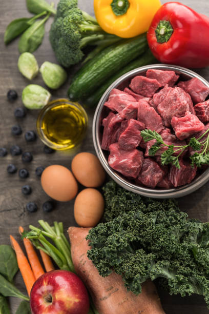 istock Raw dog food ingredients 957956794