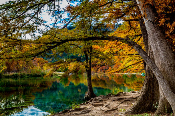 ガーナー州立公園、テキサス州で明るい秋の葉 - landscape usa vibrant color riverbank ストックフォトと画像