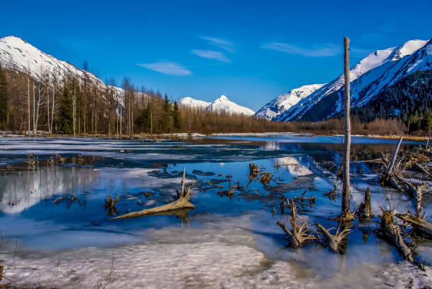Partially Frozen Lake with Mountain Range Reflected in the Great Alaskan Wilderness. stock photo