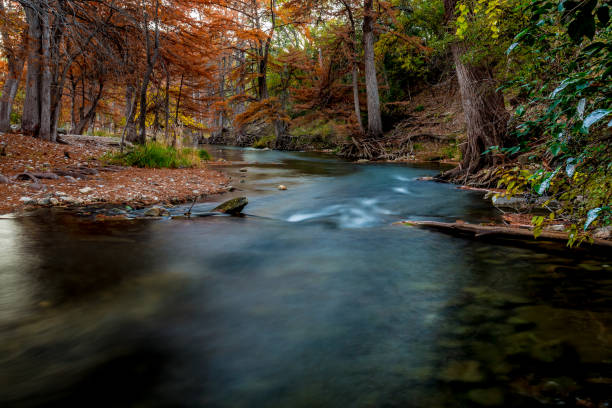 istock Beautiful Fall Foliage on the Guadalupe River, Texas. 957963538