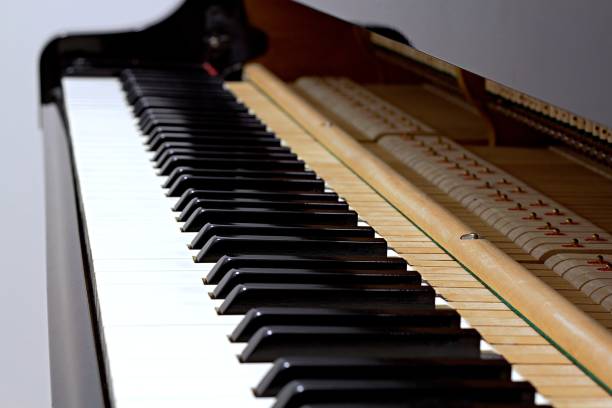 istock Grand piano keyboard without lid visible inside the piano 957970106