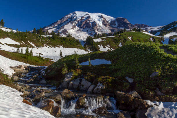 istock Rocky Stream on Mount Rainier, Washington. 957971740