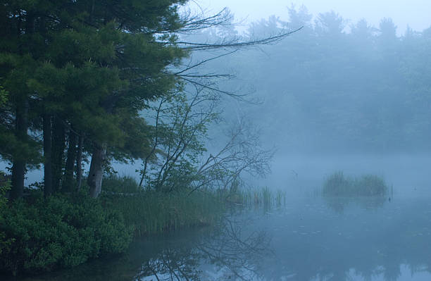 istock Foggy Morning Lake 95797317