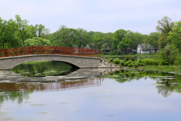istock Beautiful summer landscape in a city park. 957975724