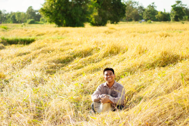 istock Brown Skin Farmer And His Rice Field 957982810