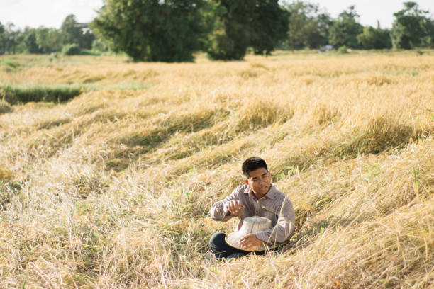 istock Brown Skin Farmer And His Rice Field 957982850