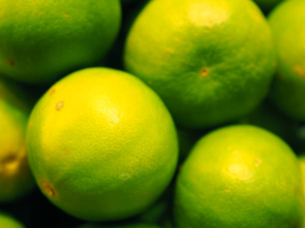 istock Close up round Thai yellow green lime pile, blurred dark shadow background 957982906