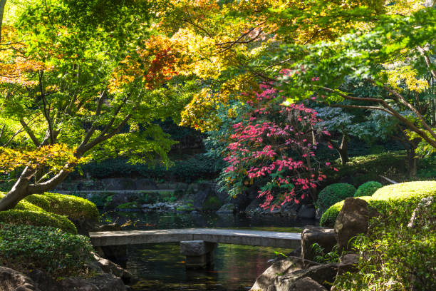 istock Autumn Japan Garden 957983336