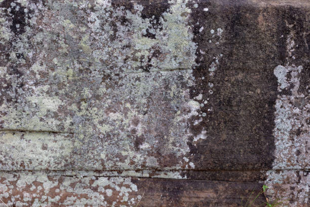 istock A sandstone block covered in some organic growth 957983502