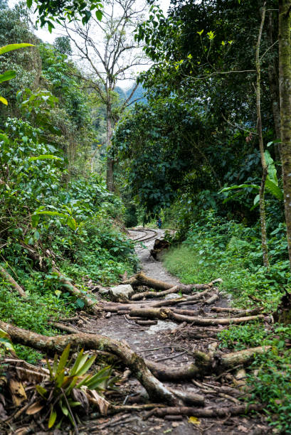 The road to Machu Picchu and beautiful landscapes
