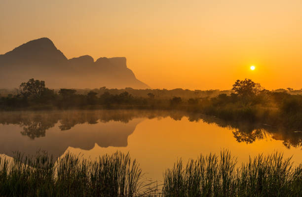 Sunrise in the Savannah of South Africa Sunrise inside the Entabeni Safari Game Reserve with a reflection of the Hanging Lip of Hanglip mountain peak in a misty swamp lake located near Kruger Park, Limpopo Province, South Africa. landscape fog africa beauty in nature stock pictures, royalty-free photos & images