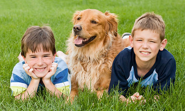 istock Boys and Golden Retriever 95800149