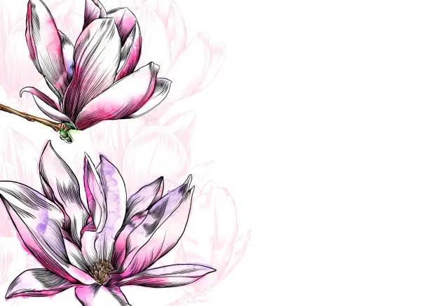 Vector illustration of Vector Design Template With Magnolia Flowers,  Watercolor and Pen and Ink Elements