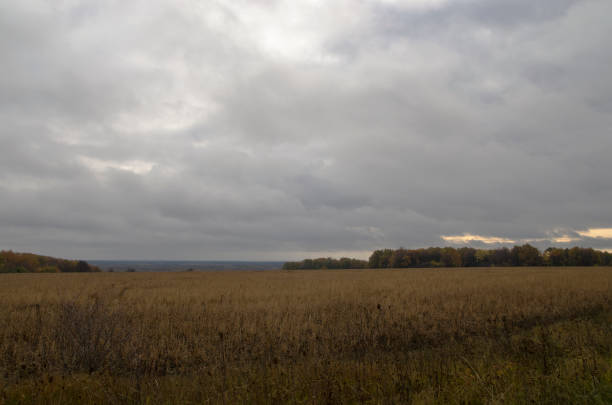 istock Dawn in the autumn field. Autumn landscape 958005538