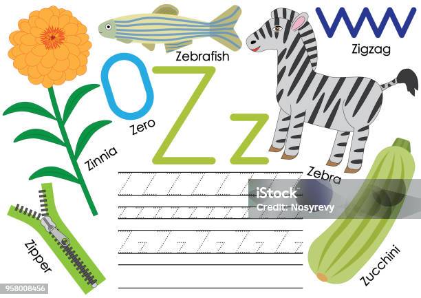 Vetores de Letra Z Educação Para As Crianças Aprendendo O Alfabeto Inglês Com A Prática De Escrita Ilustração Em Vetor e mais imagens de O Alfabeto