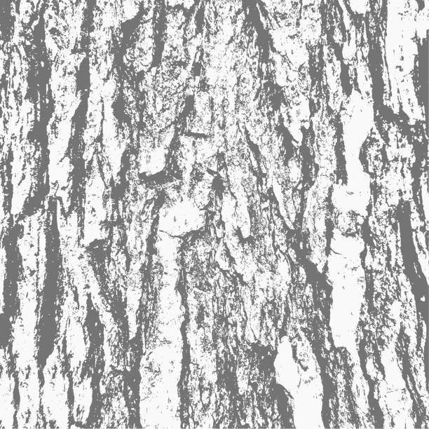ilustrações de stock, clip art, desenhos animados e ícones de abstract distressed grunge wood texture black and white. - green gray backgrounds abstract