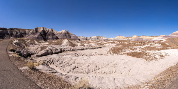 istock Petrified Forest National park, Arizona 958009580
