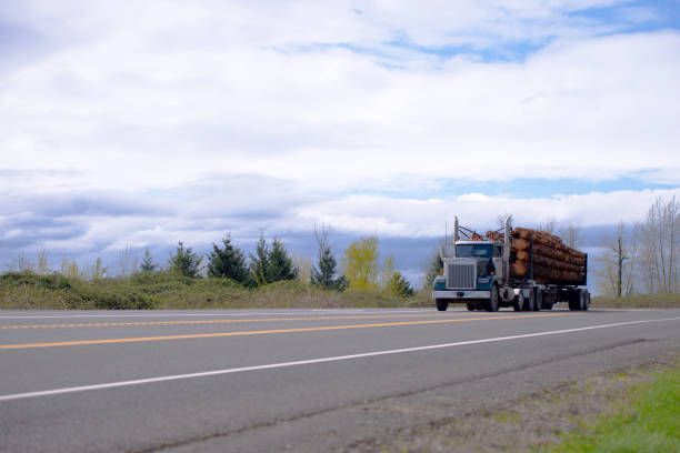 istock Powerful big rig semi truck transporting logs on the straight road 958016774