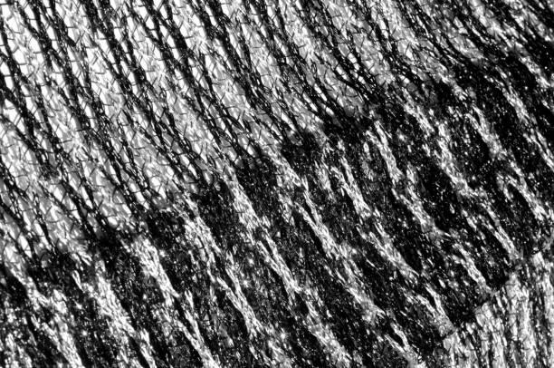 istock Texture, background, pattern. Women's scarf, striped fabric Black white lines intertwined 958020890