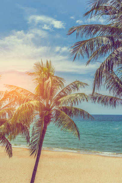 istock The beach on sunny day . 958021958