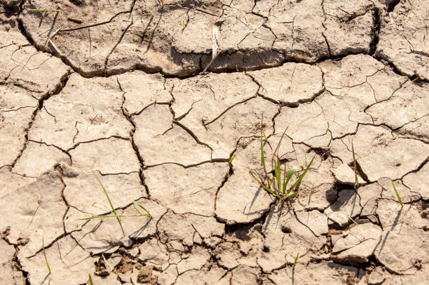 istock Earth without water has cracked. Texture of a drought 958023054