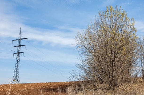 istock Spring landscape. energy pillars on the spring field. hilly terrain. trees without leaves. . The last snow. 958025238