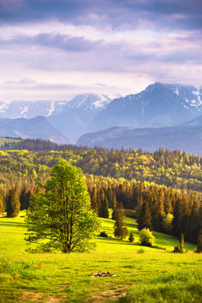 istock Evening light in spring. Sunset in Tatra Mountains, Poland 958050112