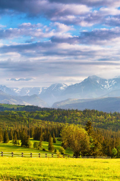 istock Evening light in spring. Sunset in Tatra Mountains, Poland 958050210