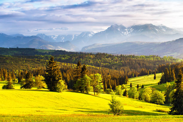 istock Evening light in spring. Sunset in Tatra Mountains, Poland 958050568