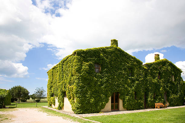 istock old toscan country house XL 95805454