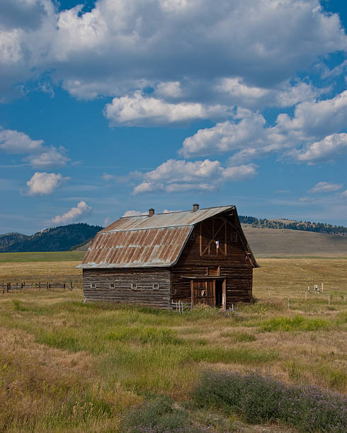 Weathered Old Barn Nothing speaks of rural America like an old barn. Sadly, many of these wooden relics have fallen into disrepair or simply disappeared. The few still remaining remind us of a time when small farms produced most of the food we eat. This classic weathered barn was photographed in Jens, Powell County, Montana, USA. jeff goulden barn stock pictures, royalty-free photos & images
