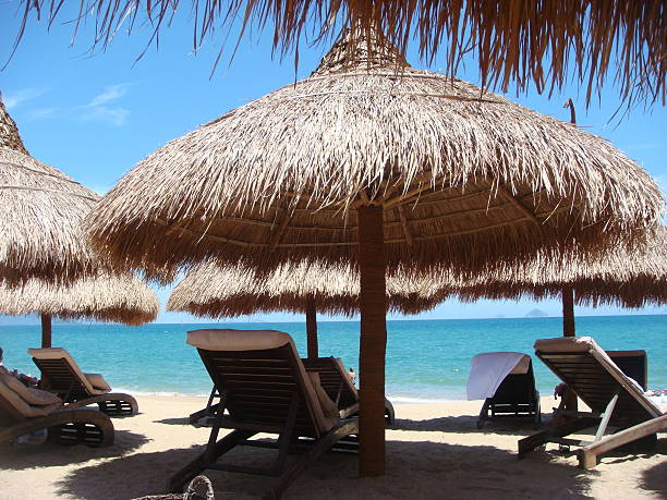 istock Golden beach with Chairs and palm shade 95805738