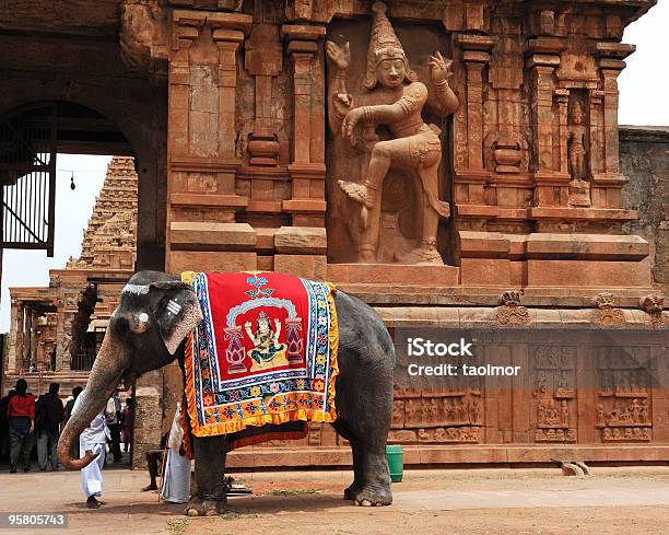 India Southindia Tanjore Brihadishvara Temple Stock Photo - Download Image Now - India, Culture of India, Elephant