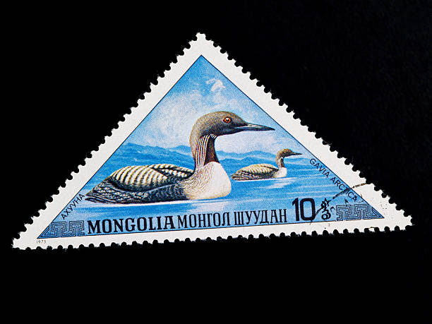 istock gavia arctica on a stamp 95805867