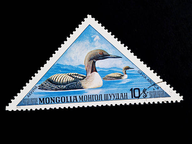gavia arctica on a stamp  arctic loon stock pictures, royalty-free photos & images
